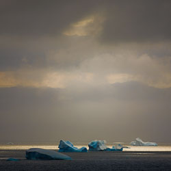 SA_Antarctica_0151_30_x_30.jpg