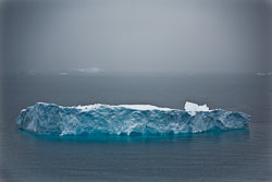 SA_Antarctica_25_0184.jpg