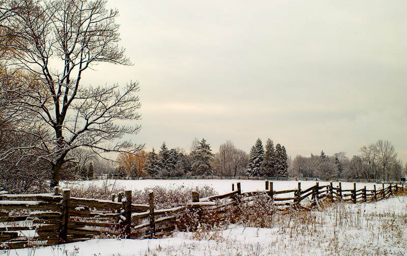 OAK05-4214-Snowy-Fence.jpg