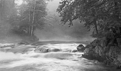 ALG94-006-Morning-Mist-Algonquin-Park.jpg