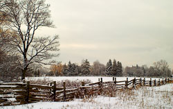 OAK05-4214-Snowy-Fence.jpg
