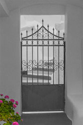 GR15-0504_Flowers-and-Gate_BW.jpg