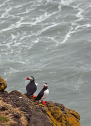 Iceland-2011-0620.jpg