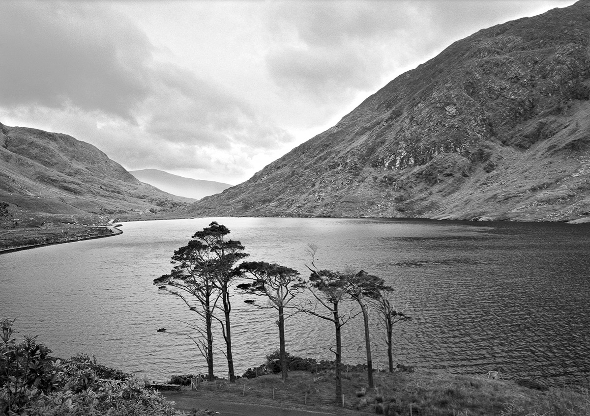 IRE02-193_Trees_Doo_Lough.jpg