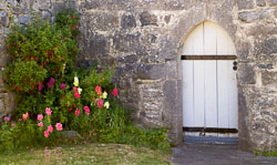 IRE04-2968_Castle_Door_and_Flowers.jpg
