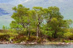 Scotland-2012-0015-1.jpg