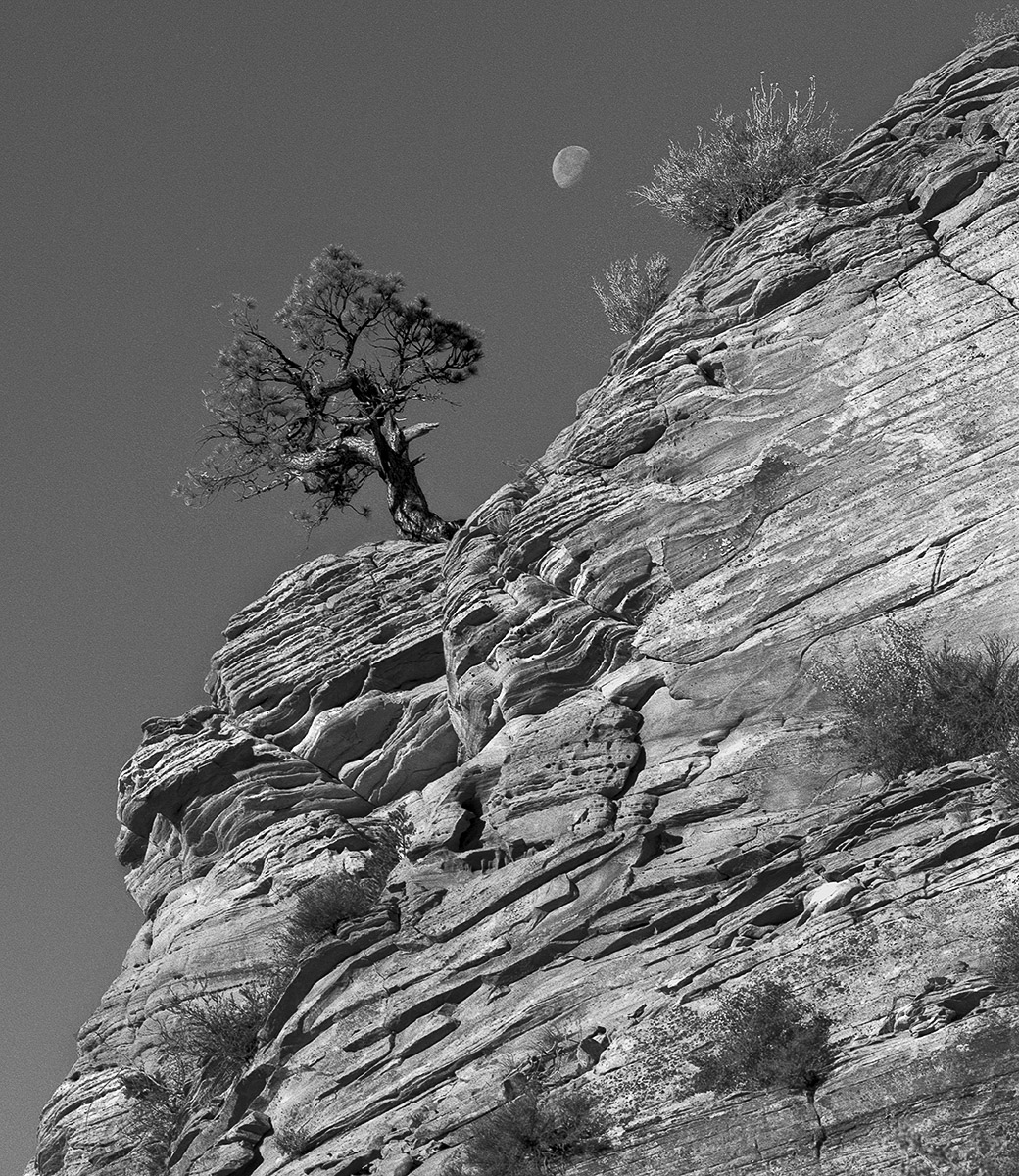 CO97-018_Zion_Moon.jpg