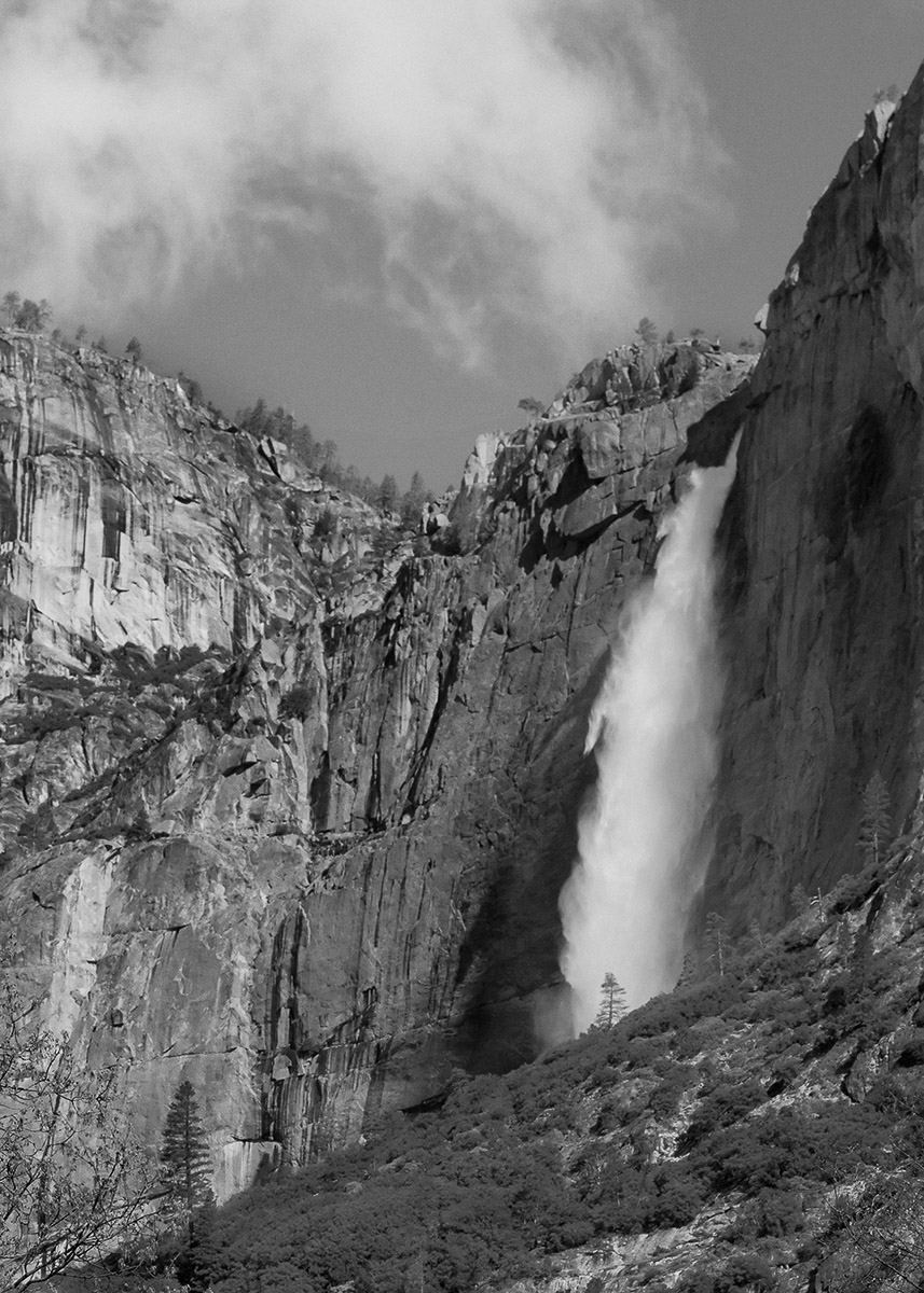 YOS99-080_Yosemite_Falls_and_Tree.jpg