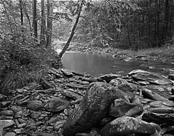 GSM90-008_Smoky_Mountain_Stream_-1.jpg