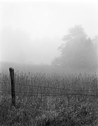 VT88-001_Morning_Fog,_Vermont.jpg