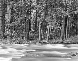 YOS90-002_Merced_River_Yosemite.jpg