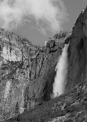 YOS99-080_Yosemite_Falls_and_Tree.jpg