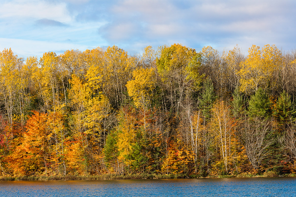 WISC15-Fall-0001.jpg