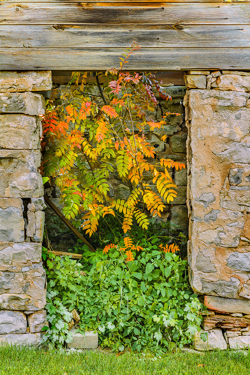 WISC15-Fall-0160.jpg